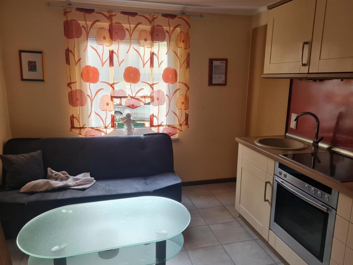 Apartmenthaus Sonnenschein وينتربرغ المظهر الخارجي الصورة