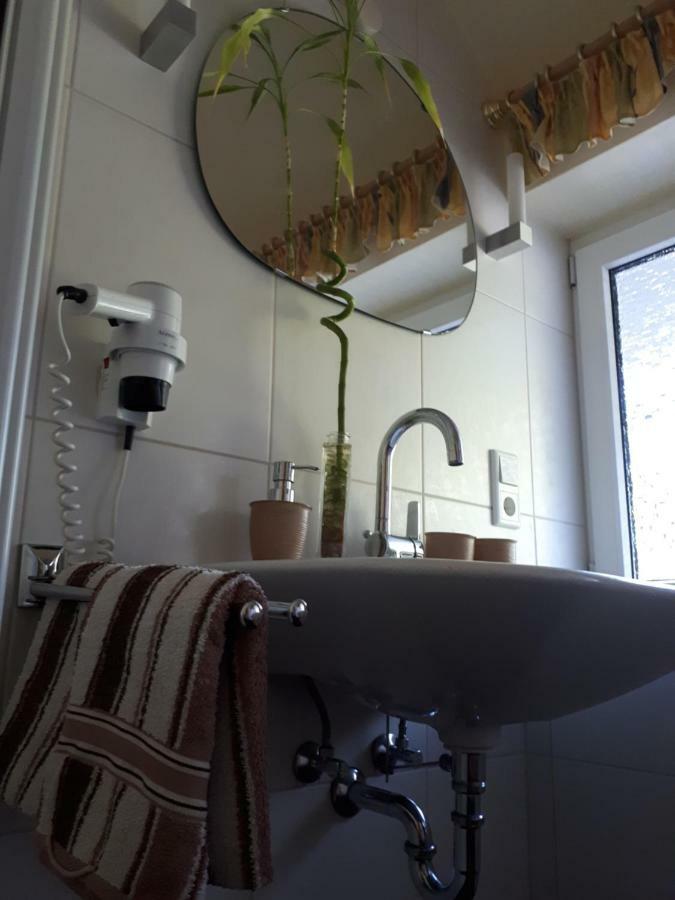 Apartmenthaus Sonnenschein وينتربرغ المظهر الخارجي الصورة